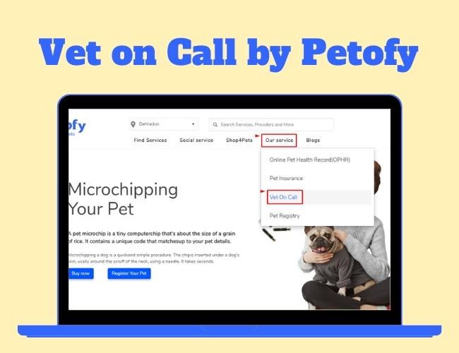 vet on call service by petofy