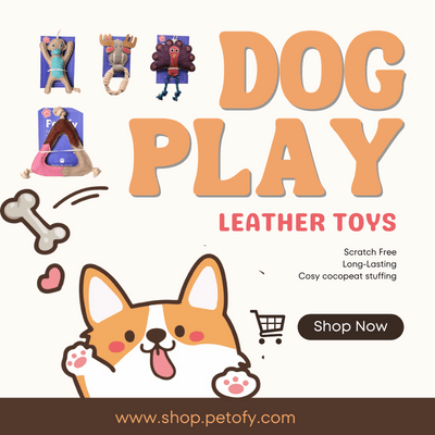 dog play toys banner
