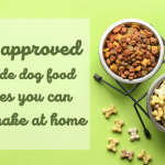 8 Vet-Approved Homemade Dog Food Recipes You Can Easily Make at Home