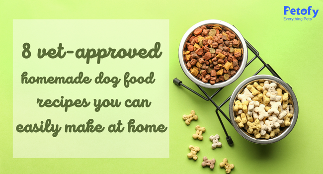 8 Vet-Approved Homemade Dog Food Recipes You Can Easily Make at Home