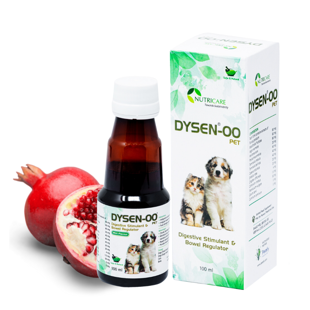 dysen-00-pet-digestive-stimulant-bowel-regulator-for-dogs-cats-birds