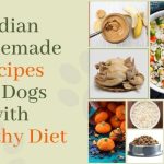 Indian Homemade Recipes for Dogs with Healthy Diet