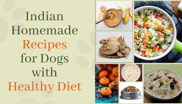 Indian Homemade Recipes for Dogs with Healthy Diet