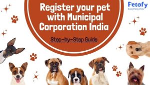 Pet Registration with Municipal Corporation in India | Importance & Procedure to Follow