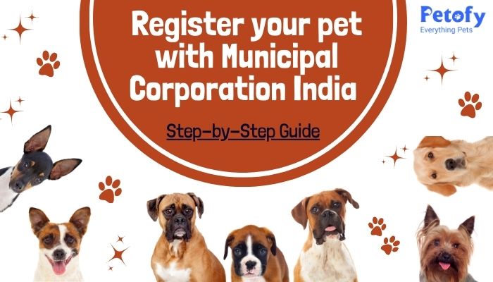 Pet Registration with Municipal Corporation in India | Importance & Procedure to Follow