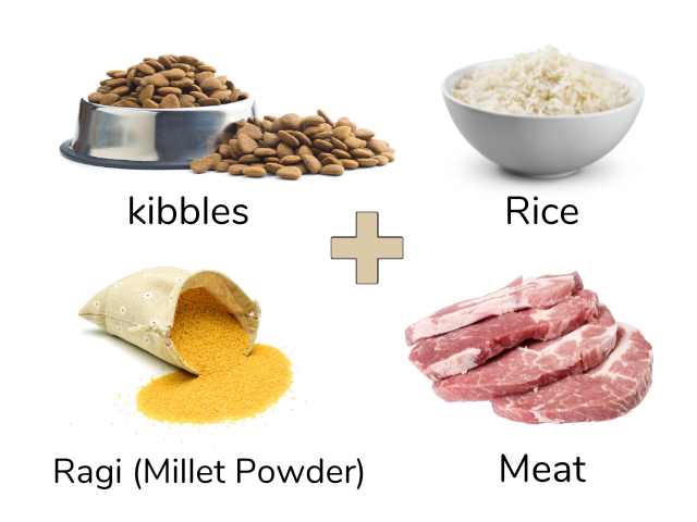 Well balanced homemade diet for Dog