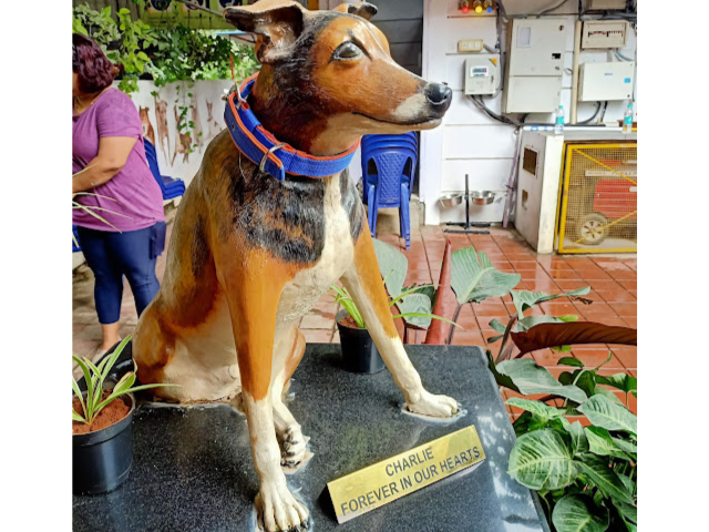 Charlie's Animal Rescue Centre Bengaluru