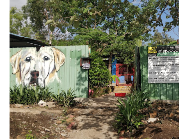 RESQ Charitable Trust- Pune