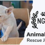 Animal NGO – Rescue Journey  