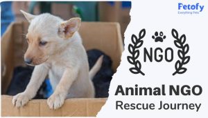 Animal NGO – Rescue Journey