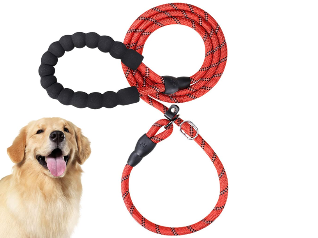 A lab dog and a adjustable dog leashes with white background.