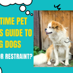 Freedom or Restraint? A First-Time Pet Parent’s Guide to Chaining Dogs