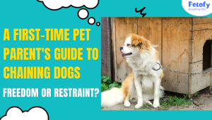 Freedom or Restraint? A First-Time Pet Parent’s Guide to Chaining Dogs