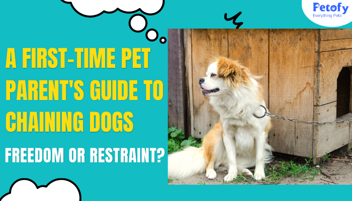Freedom or Restraint? A First-Time Pet Parent’s Guide to Chaining Dogs