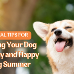 Essential Tips for Keeping Your Dog Healthy and Happy During Summer