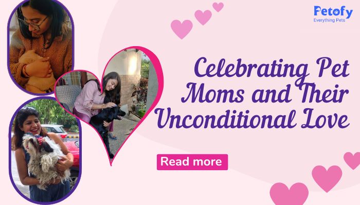 Pawsome Mother’s Day: Celebrating Pet Moms and Their Unconditional Love