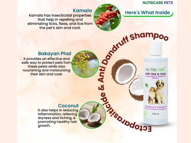 nutricare natural anti tick and flea shampoo