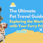 The Ultimate Pet Travel Guide: Exploring the World with Your Furry Friend