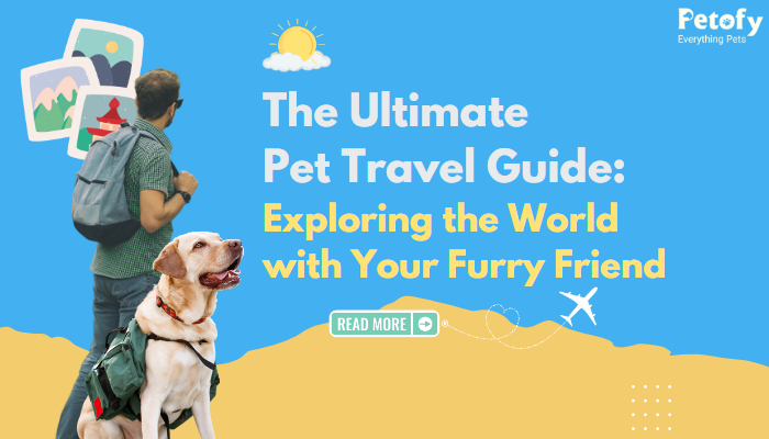 The Ultimate Pet Travel Guide: Exploring the World with Your Furry Friend
