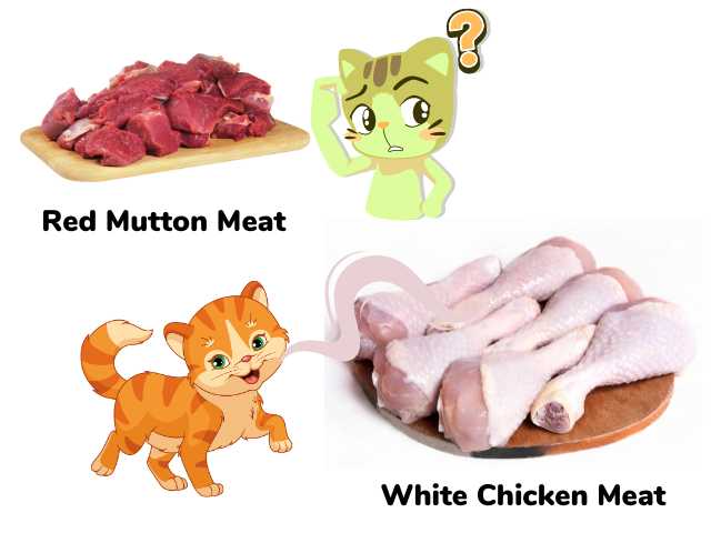 white and red meat for pet