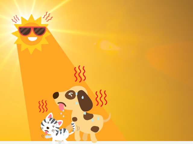 a animation picture in which a dog and a cat feeling too much hot in sun high beam temperature.