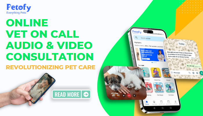 Online Vet on Call Audio & Video Consultation: Revolutionizing Pet Care