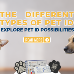 Explore the Different Types of Pet Identification Methods
