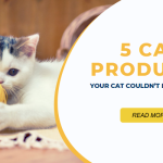 5 Cat Products Your Cat Couldn’t Live Without