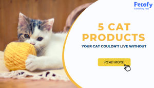 5 Cat Products Your Cat Couldn’t Live Without