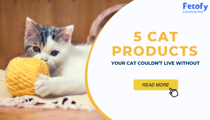 5 Cat Products Your Cat Couldn’t Live Without