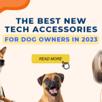 The Best New Tech Accessories for Dog Owners in 2023