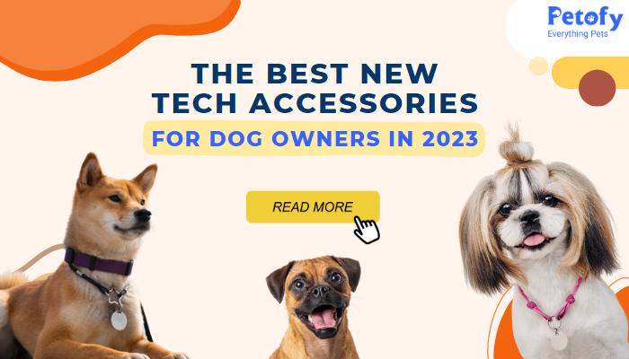 The Best New Tech Accessories for Dog Owners in 2023