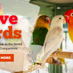 Love Birds: A Delightful Guide to World of the Affectionate Companions