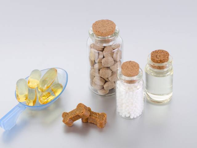 Dog supplements putting in 2 small and 1 little big glass jar. 2 Dog biscuits brown colour and 4-5 capsule in a table spoon. Everything is putting on a table with grey colour.