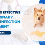 Dog UTI: Treatments, Causes, Symptoms and Preventive Measures