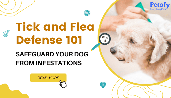 Tick and Flea Defence Guide to Safeguard Your Dog from Infestations