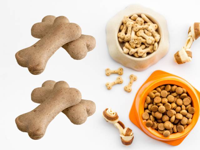 Dog bone shape biscuits, dog treats and dog prepared food in dog feed bowl. For healthy a shiny coat every dog should eat healthy supplements and treats for dog shiny coat