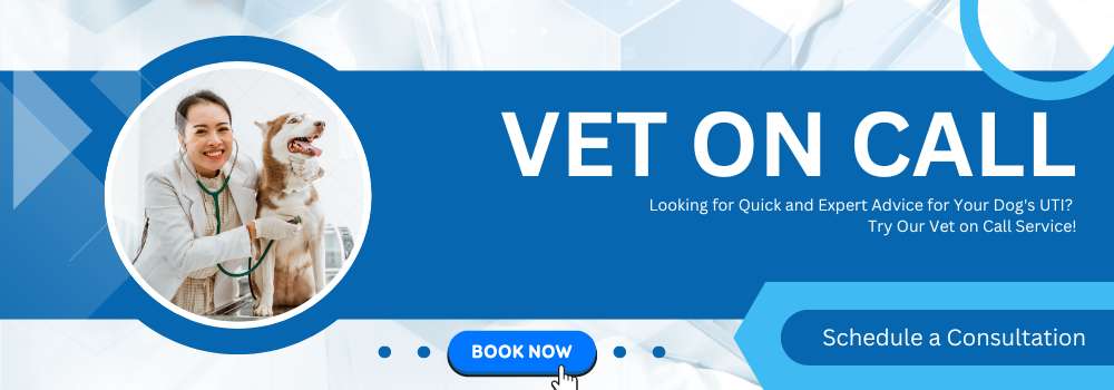 vet on call Ad banner