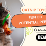 Catnip Toys: Fun or Potential Peril? A Safety Guide for Cats