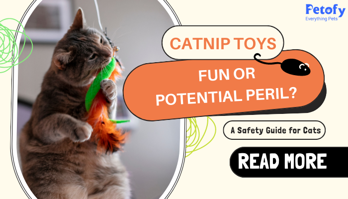 Catnip Toys: Fun or Potential Peril? A Safety Guide for Cats