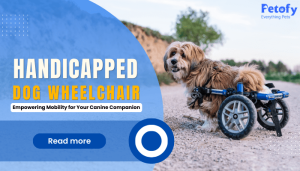 Dog Wheelchair for Back Legs in India: Empowering Mobility for Your Dog