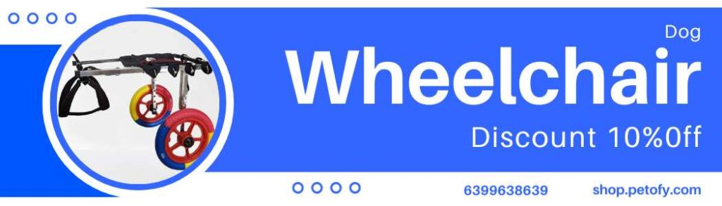 Dog wheelchair Banner Image