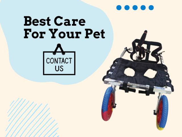 Wheelchair for Puppy