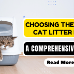 Introducing Cat Litter Box Comprehensive Guide | Choose The Right Product
