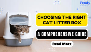 Introducing Cat Litter Box Comprehensive Guide | Choose The Right Product
