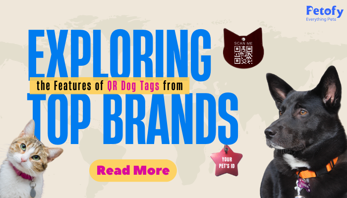 Exploring the Features of QR Code Dog ID Tags from Top Brands
