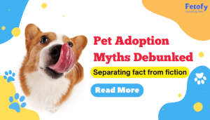 The Truth About Pet Adoption: Viral Myths You Need to Know