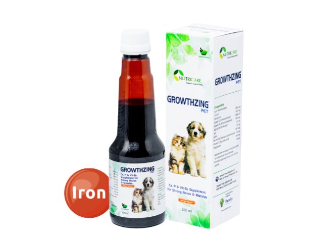 Healthy Bone Syrup For Puppies Product Image