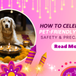 How To Celebrate a Pet-Friendly Diwali | Safety & Precautions