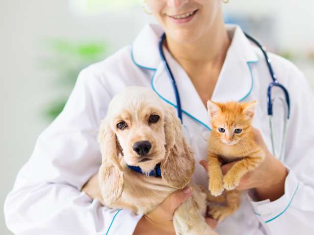 A female vet holding a cat and a dog in her arms.